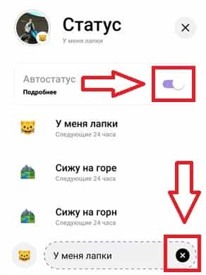 Як поставити статус в інстаграмі - Інстаграмчик